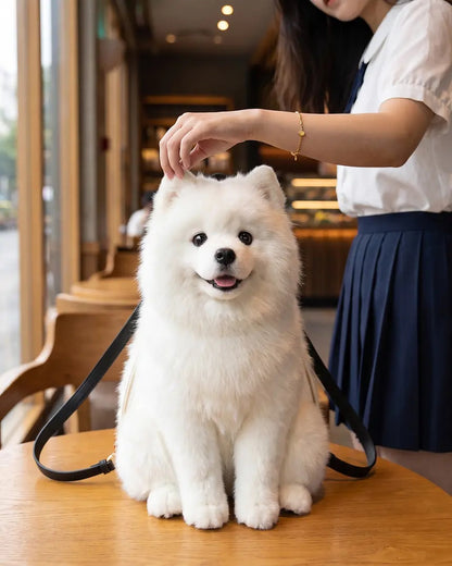 Dog Backpack — Carry Your Dog in Comfort