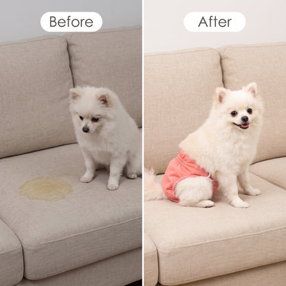 Washable Dog Diaper — For Heat, Training and Seniors