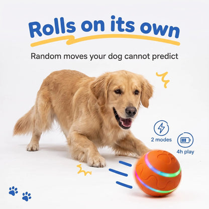 Interactive Moving Dog Ball — Self-Rolling Toy for Dogs