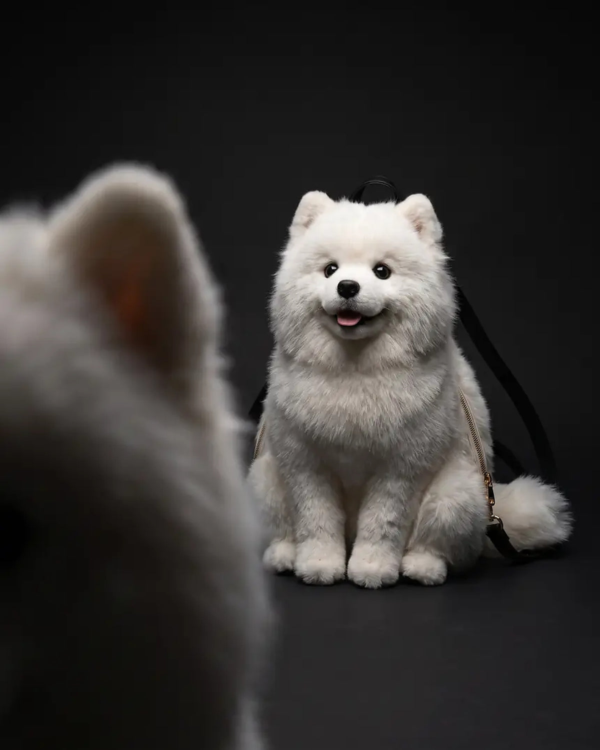 Dog Backpack — Carry Your Dog in Comfort