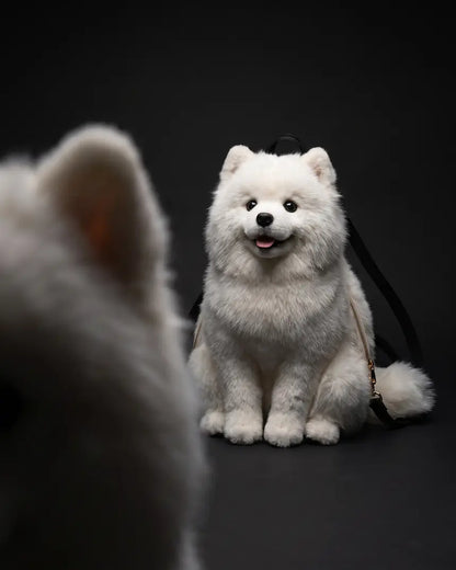 Dog Backpack — Carry Your Dog in Comfort