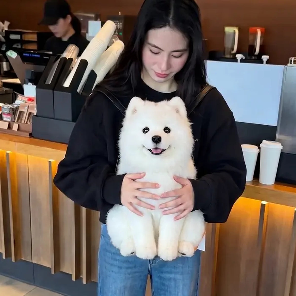 Dog Backpack — Carry Your Dog in Comfort