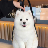 Samoyed White