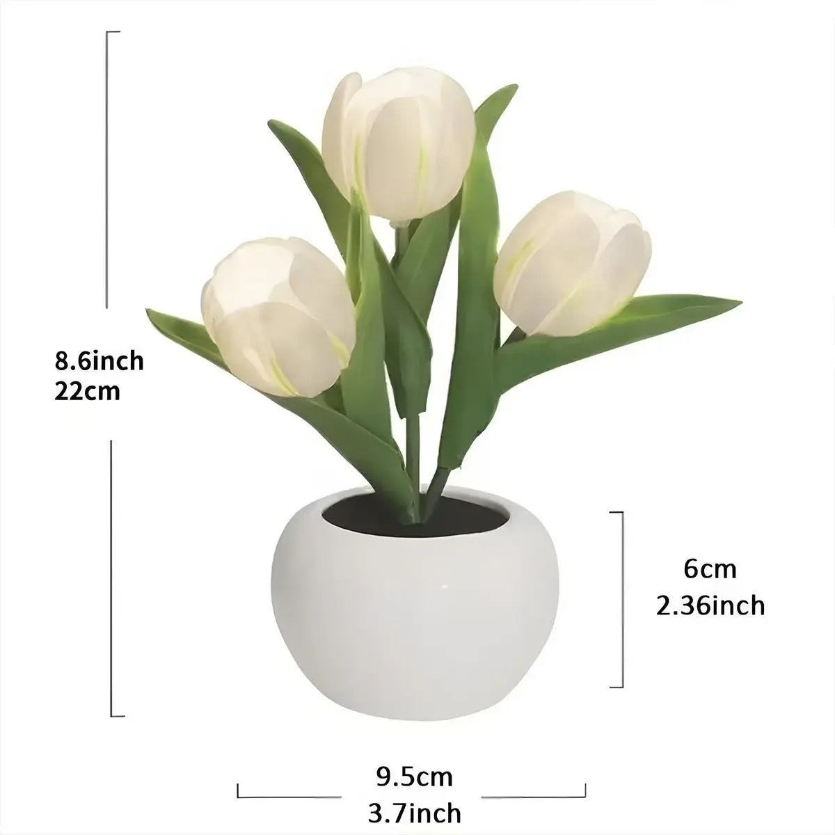 Tulip LED Night Light — Decor for Living Rooms and Bedrooms