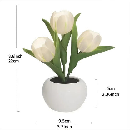 Tulip LED Night Light — Decor for Living Rooms and Bedrooms