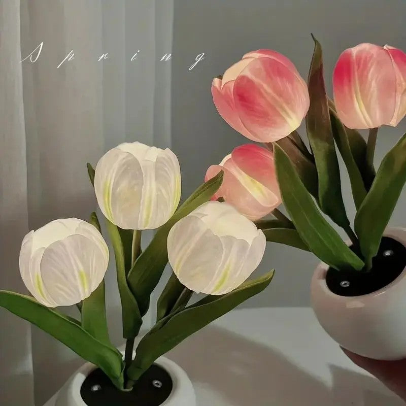 Tulip LED Night Light — Decor for Living Rooms and Bedrooms
