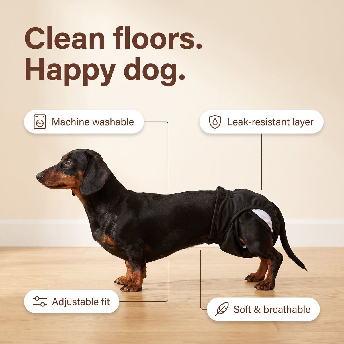 Washable Dog Diaper — For Heat, Training and Seniors