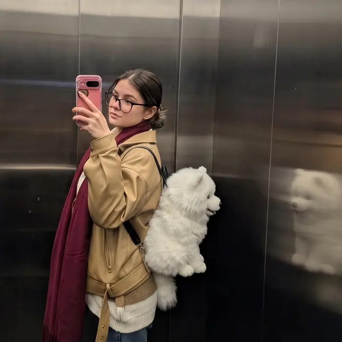 Dog Backpack — Carry Your Dog in Comfort