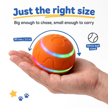 Interactive Moving Dog Ball — Self-Rolling Toy for Dogs