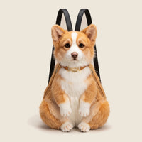 Corgi
