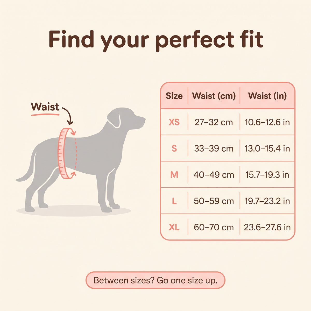 Washable Dog Diaper — For Heat, Training and Seniors