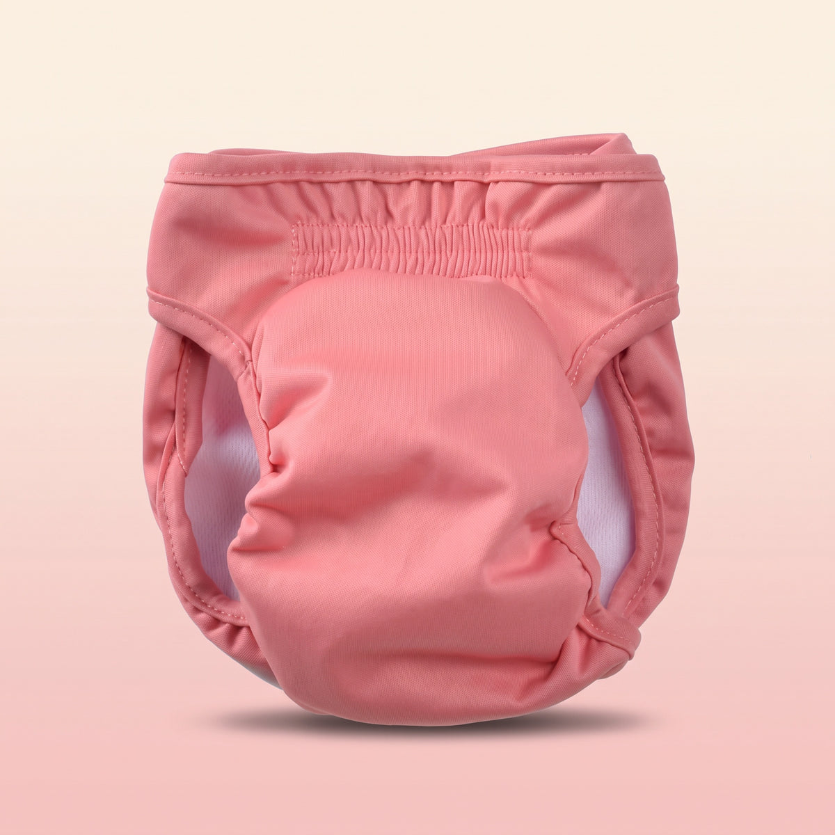 Washable Dog Diaper — For Heat, Training and Seniors