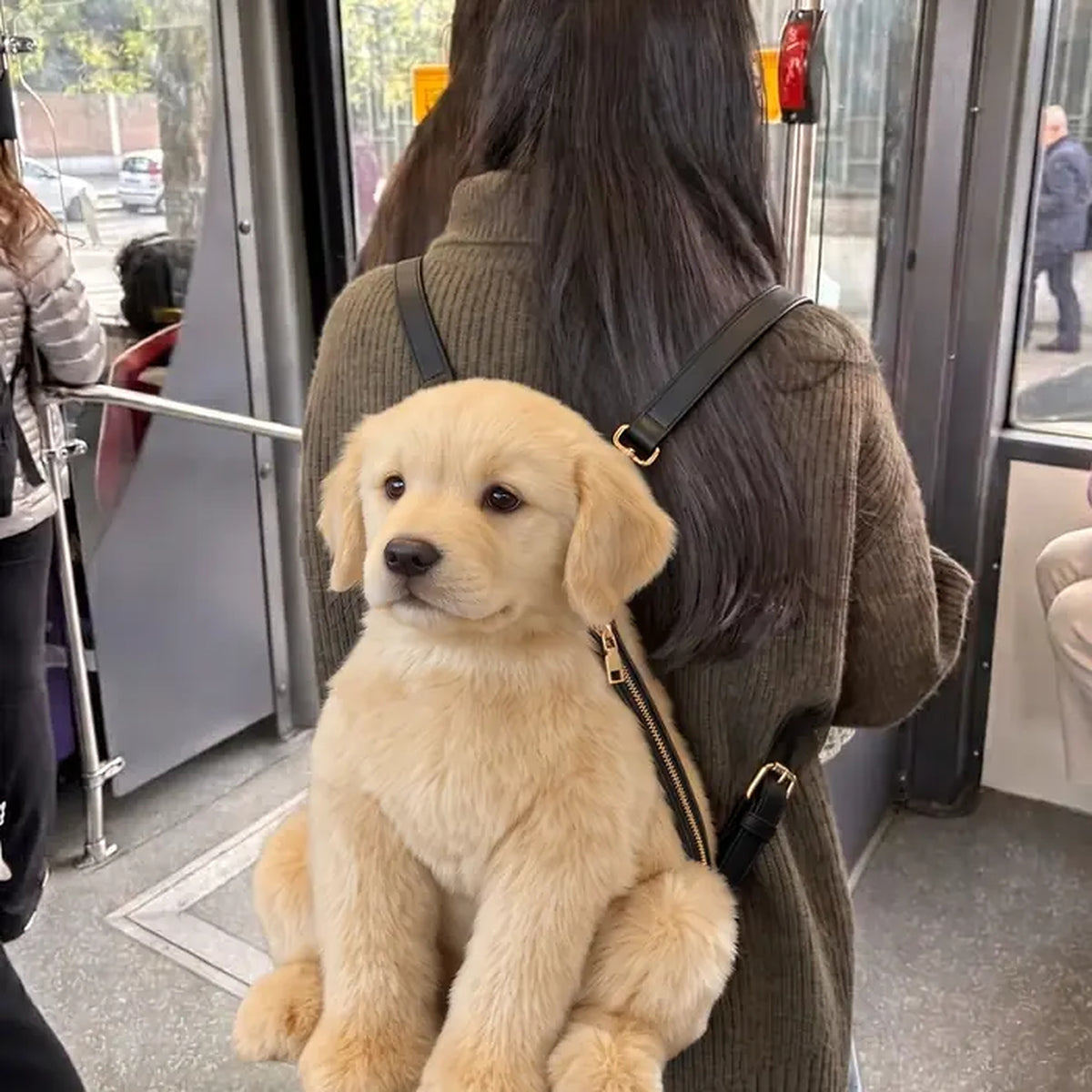 Dog Backpack — Carry Your Dog in Comfort