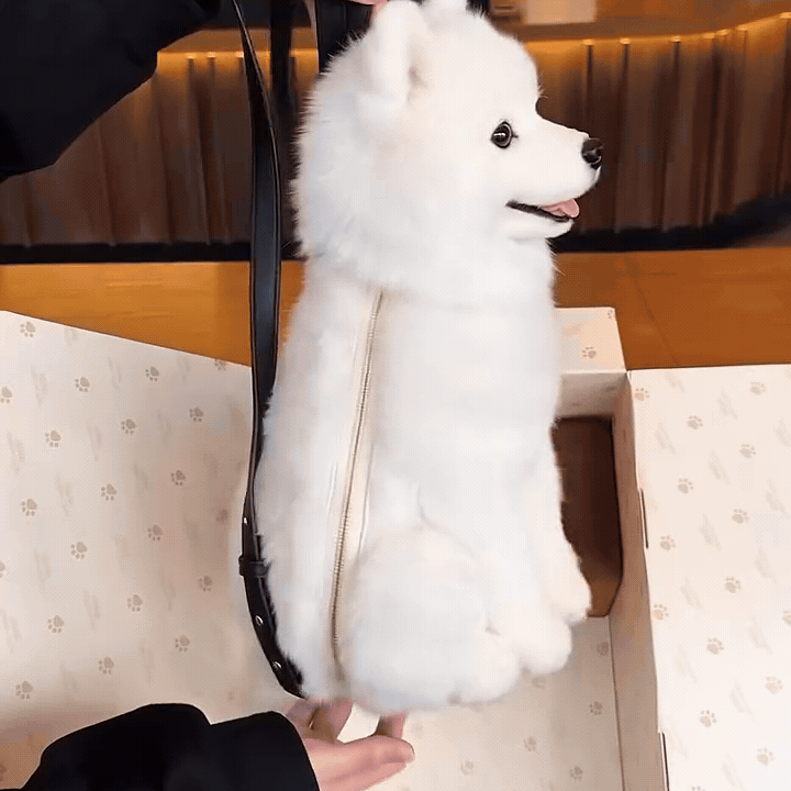 Dog Backpack — Carry Your Dog in Comfort