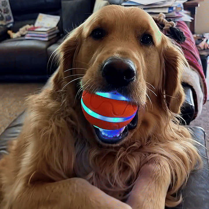 Interactive Moving Dog Ball — Self-Rolling Toy for Dogs