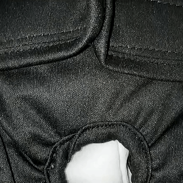 Washable Dog Diaper — For Heat, Training and Seniors