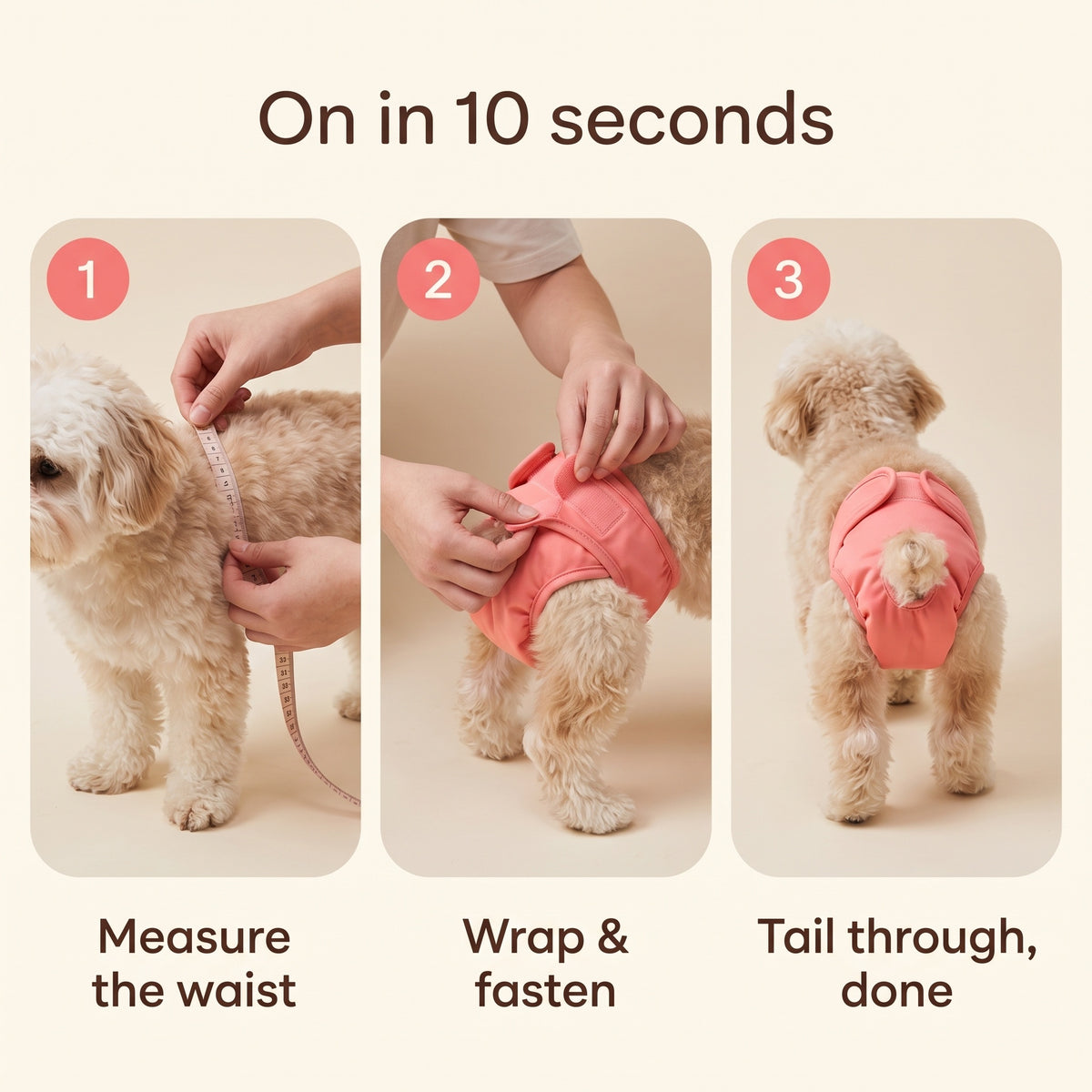 Washable Dog Diaper — For Heat, Training and Seniors