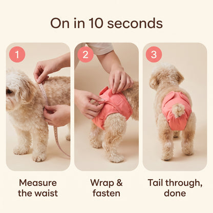 Washable Dog Diaper — For Heat, Training and Seniors
