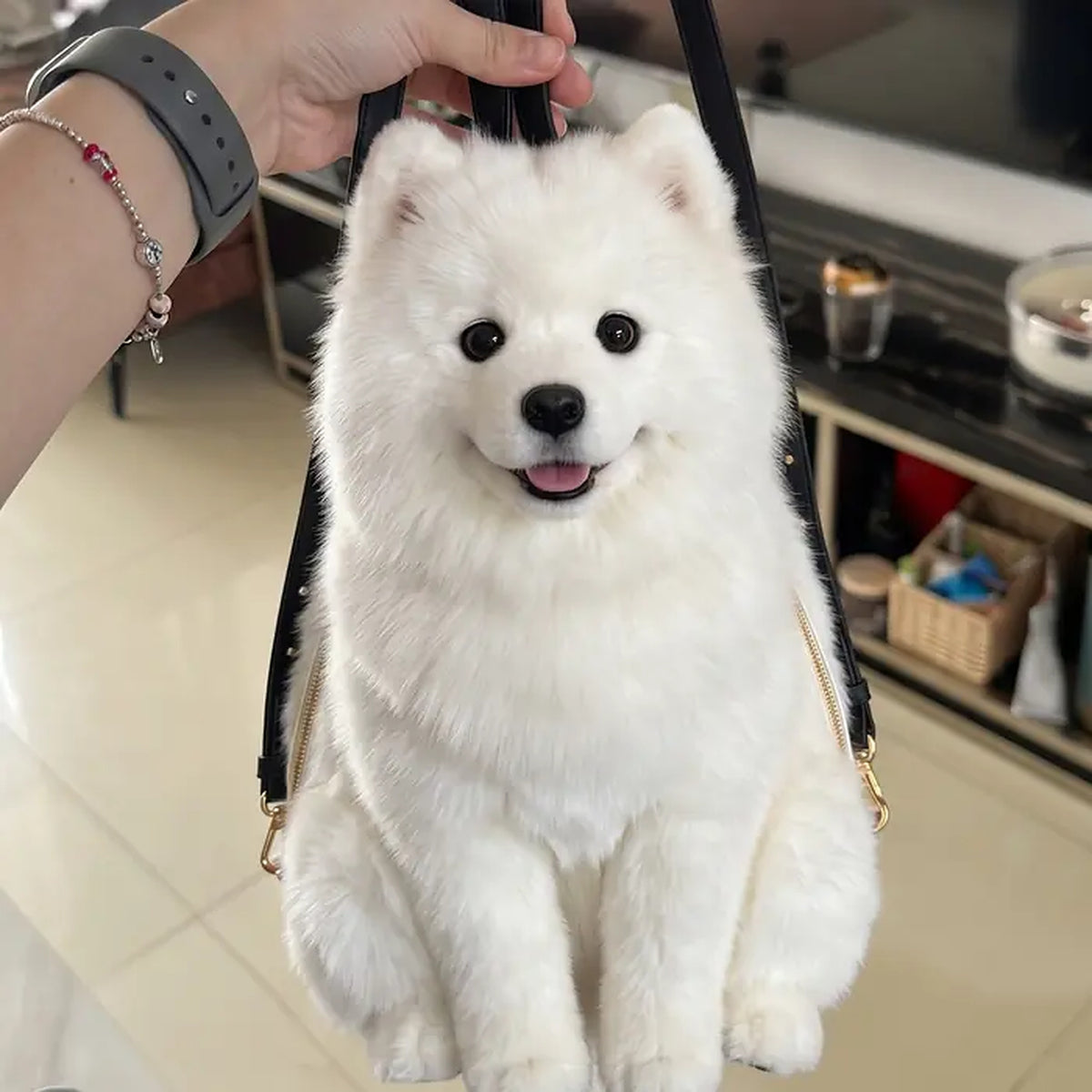 Dog Backpack — Carry Your Dog in Comfort