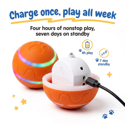 Interactive Moving Dog Ball — Self-Rolling Toy for Dogs