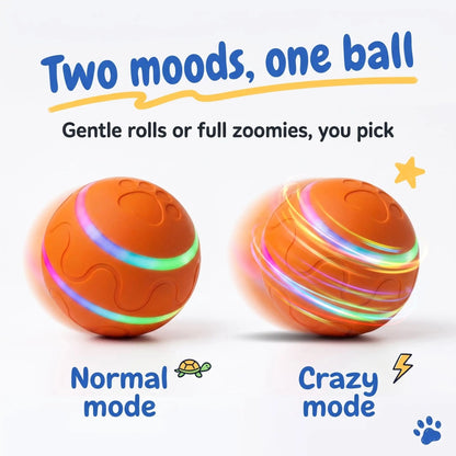 Interactive Moving Dog Ball — Self-Rolling Toy for Dogs