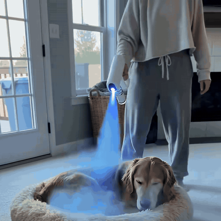 Pet Odor Eliminator Spray Kit — Probiotic Cleaner for Homes