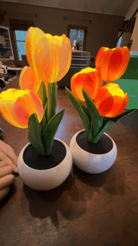 Tulip LED Night Light — Decor for Living Rooms and Bedrooms
